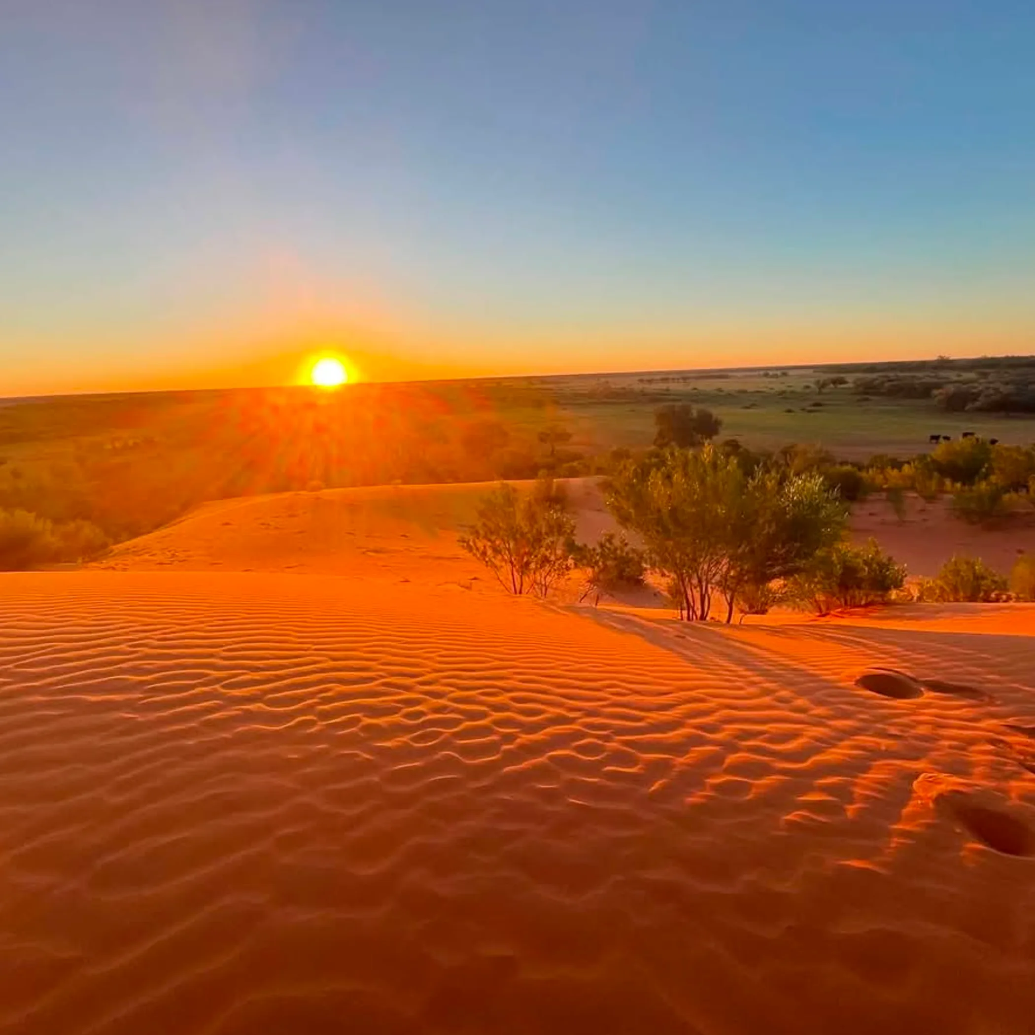 australian outback landscape with red soil