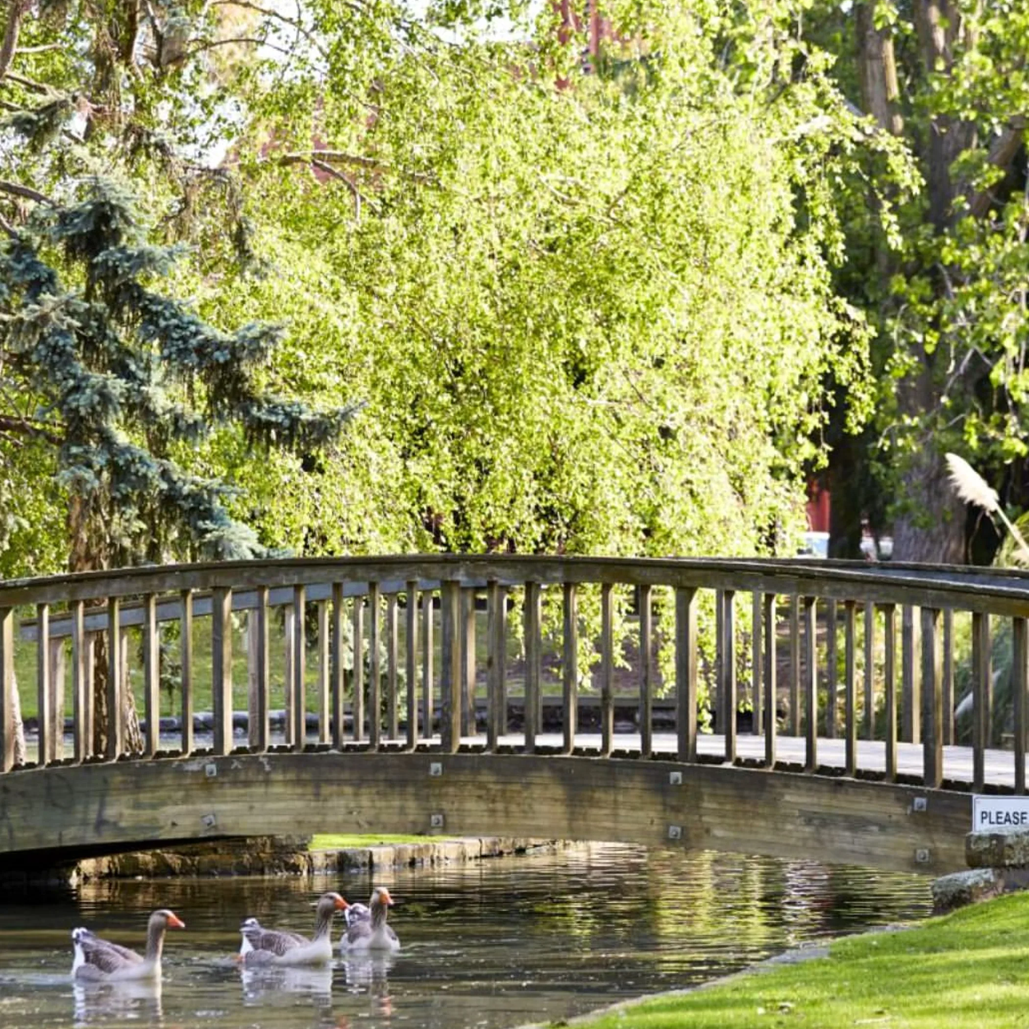 melbourne park with green grass trees