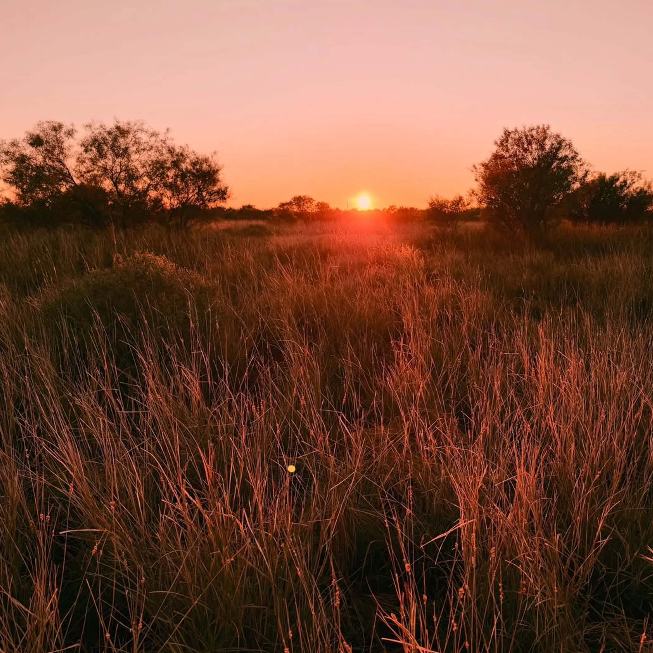 sunrise over australian outback landscape